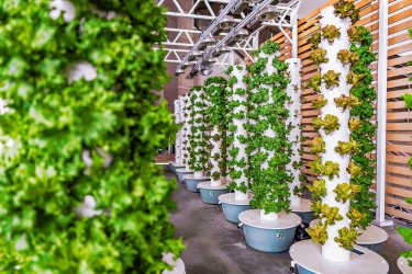 Sustainability